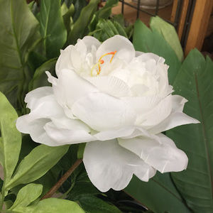 Meet your Posher, Cathy